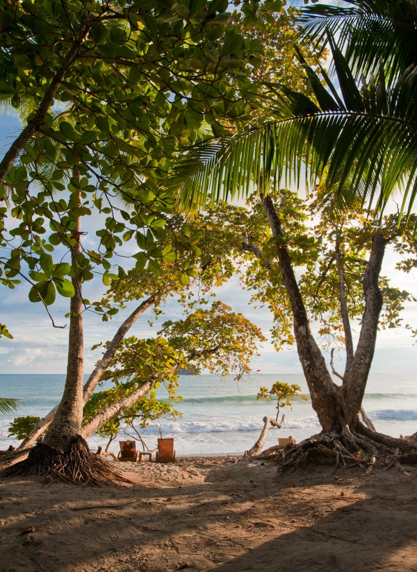 20101210_costa_rica_4176